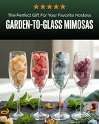 Rainbow Mimosa Kit - Champagne Cube Gift Set